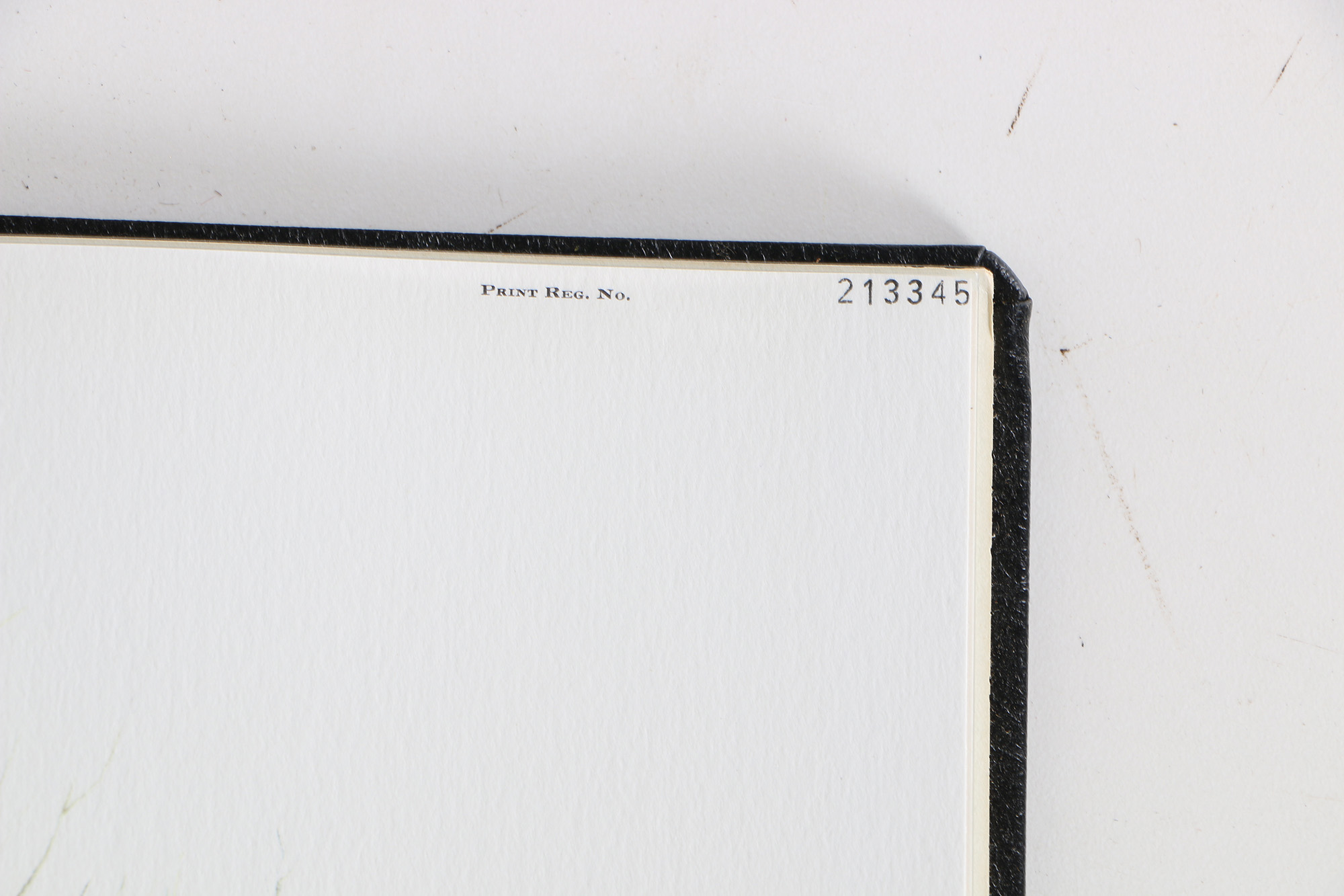 Richard Timm Offset Lithographs "Mammals of North America" Portfolio