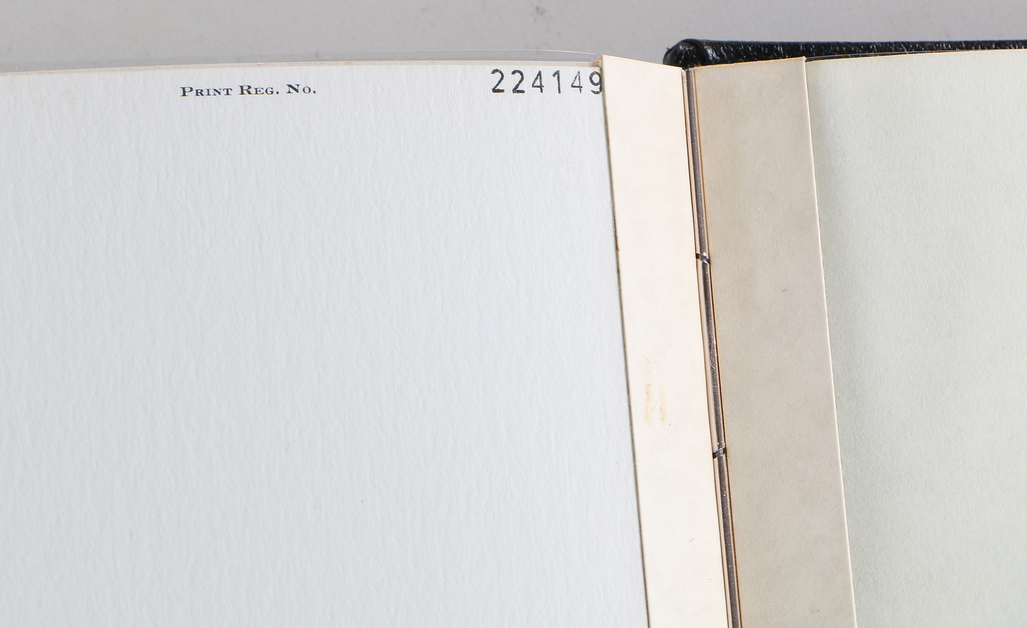 Richard Timm Offset Lithographs "Mammals of North America" Portfolio