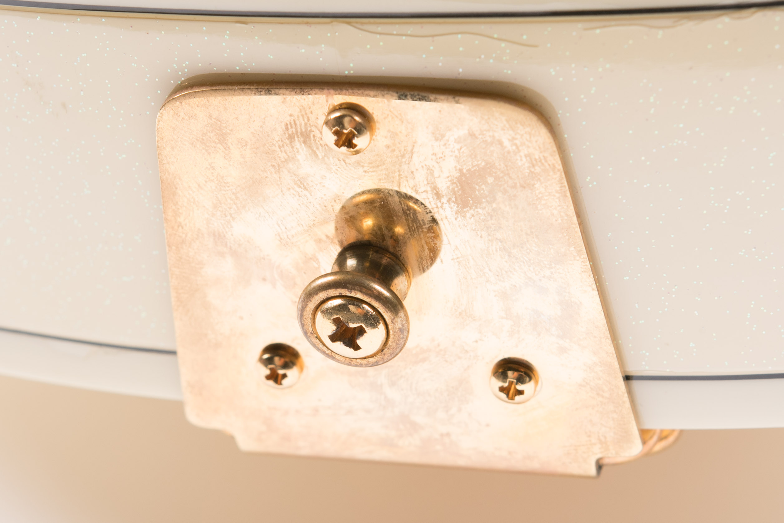 Gibson Custom Shop L-4 10th Anniversary Diamond White Sparkle Guitar