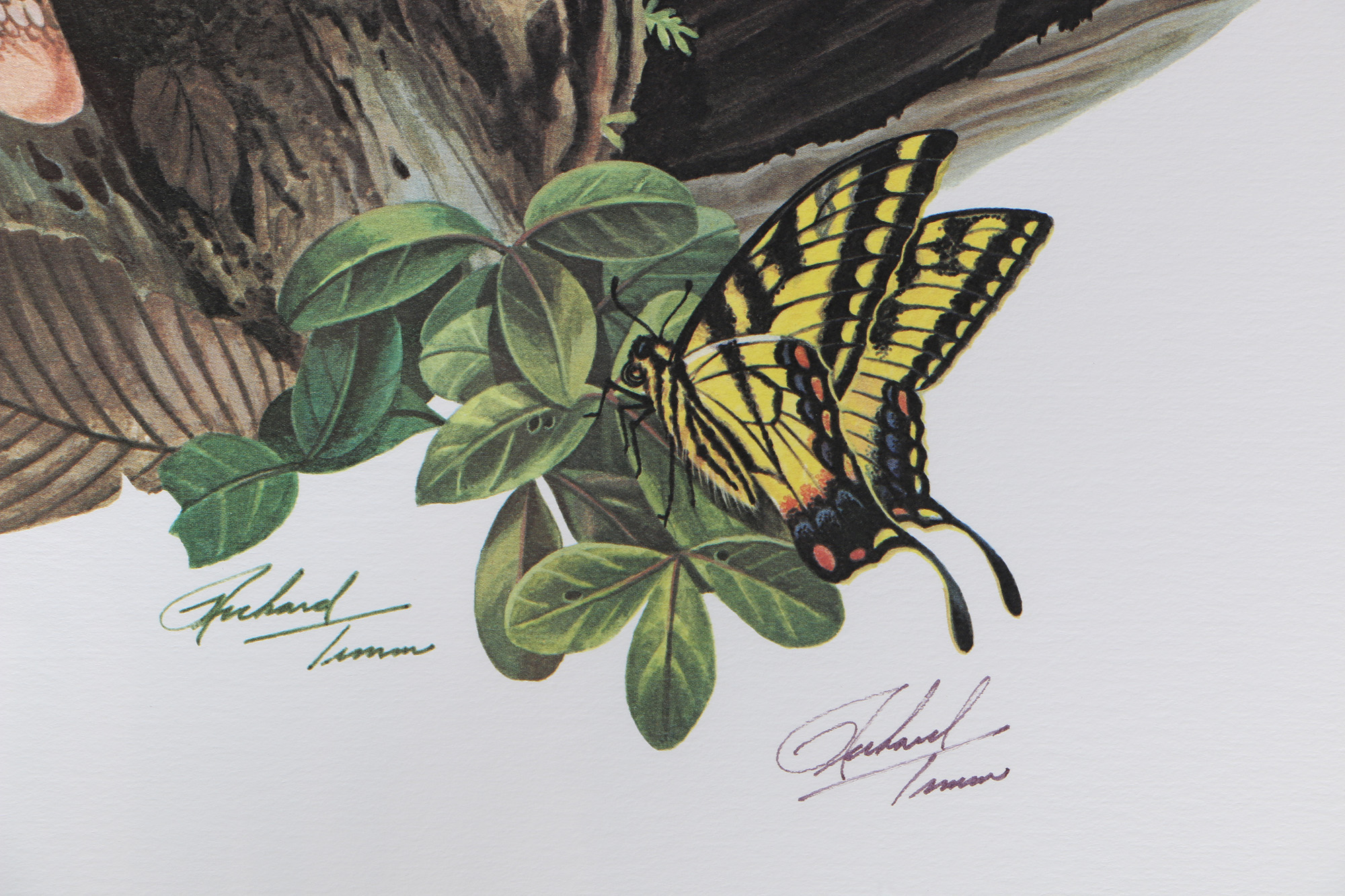 Richard Timm Offset Lithographs "Mammals of North America" Portfolio