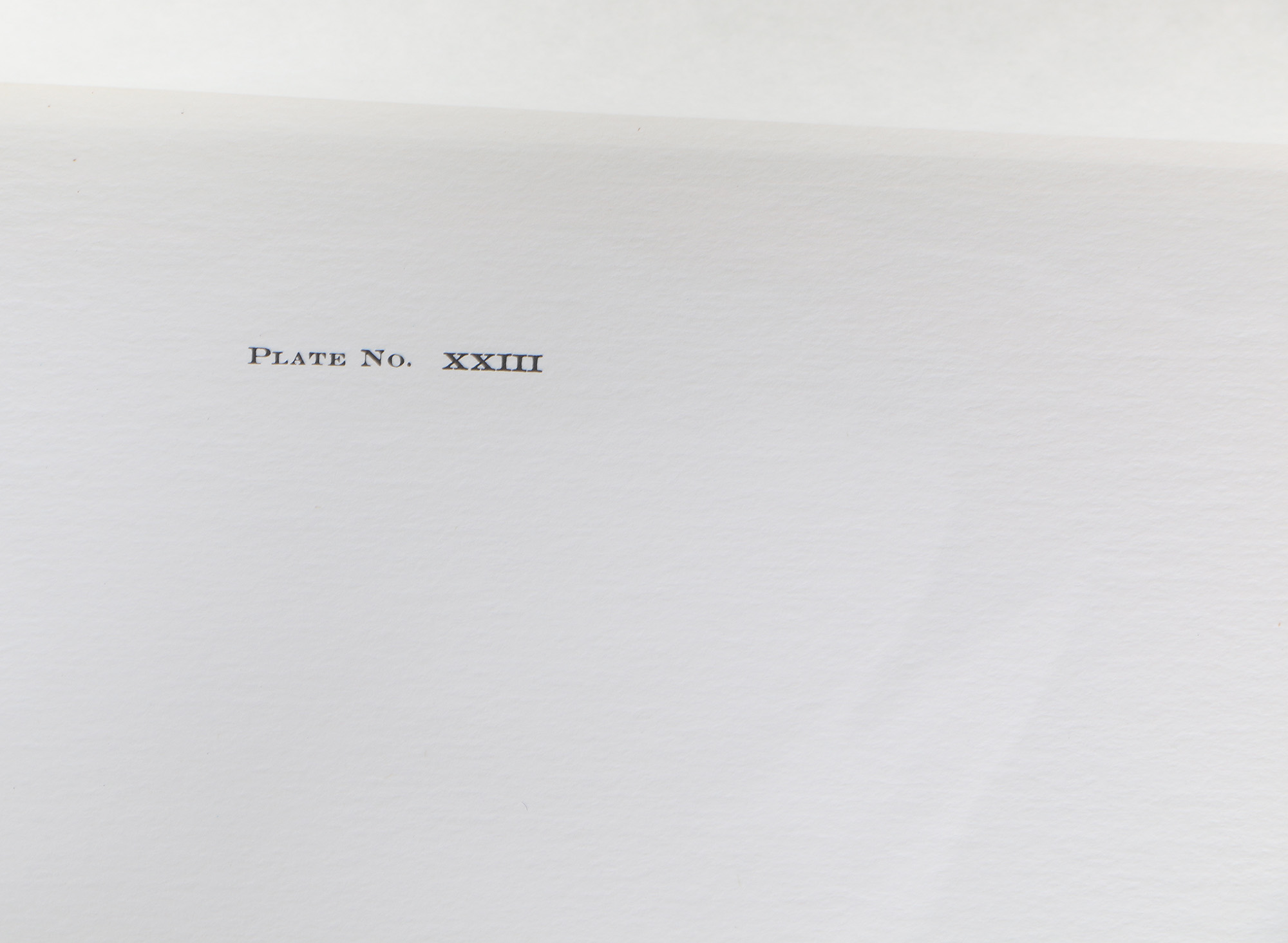 Richard Timm Offset Lithographs "Mammals of North America" Portfolio