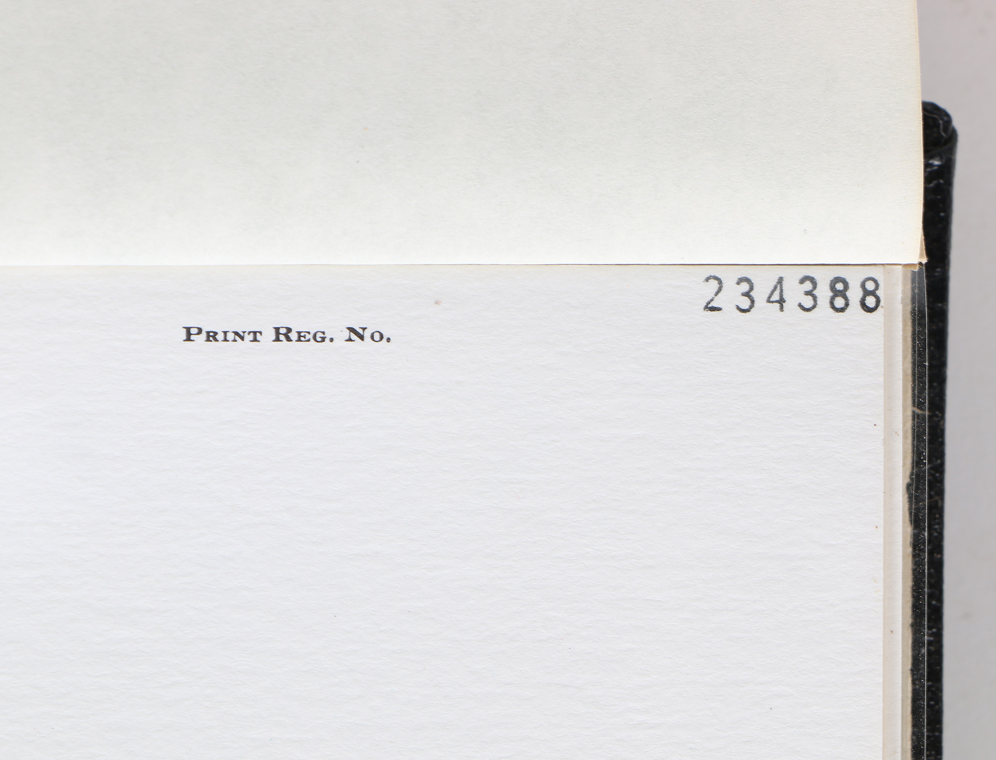 Richard Timm Offset Lithographs "Mammals of North America" Portfolio