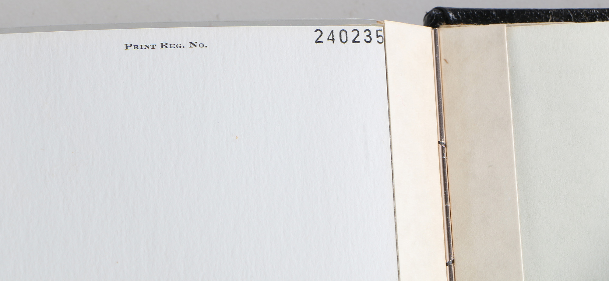 Richard Timm Offset Lithographs "Mammals of North America" Portfolio