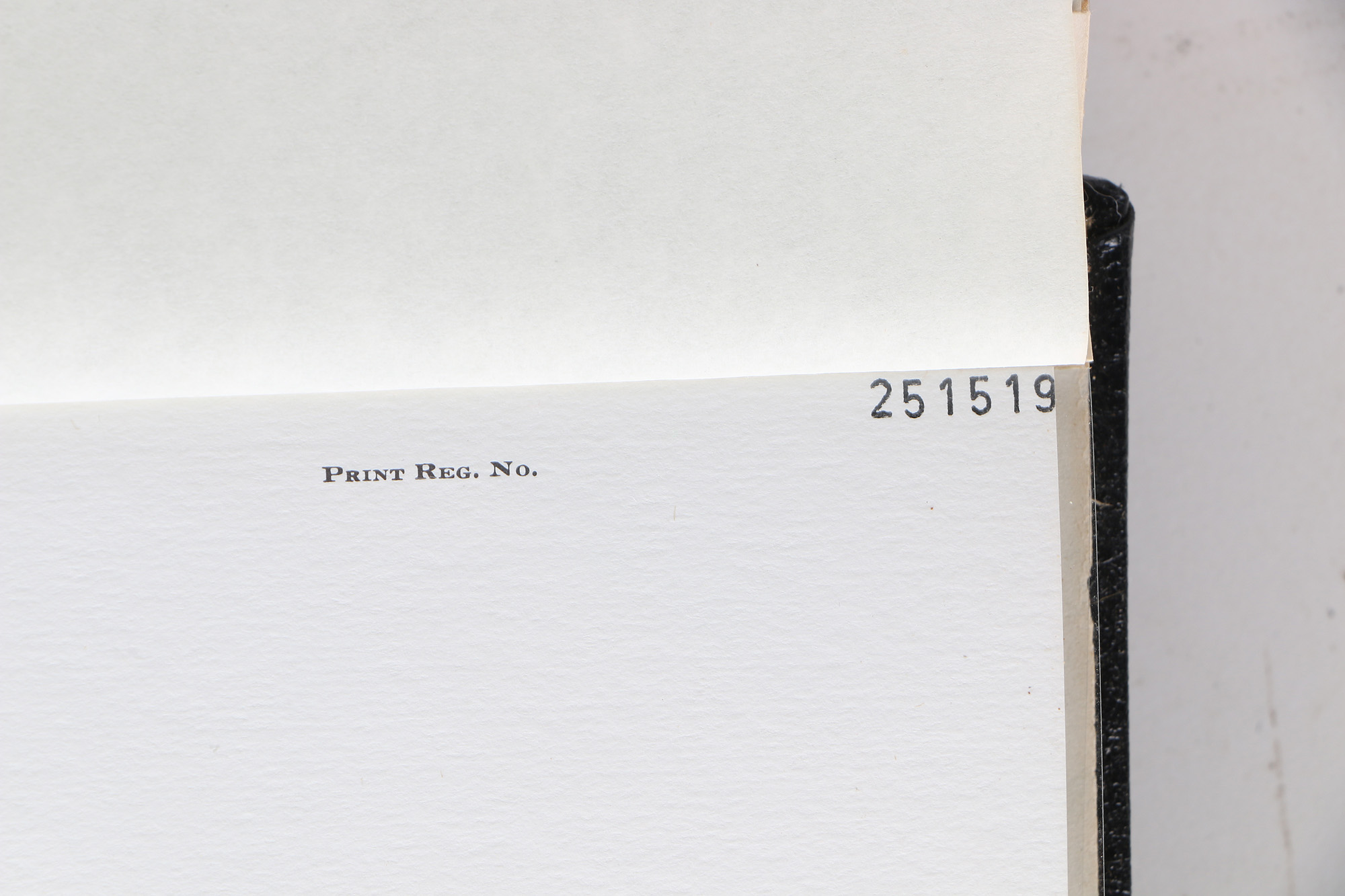 Richard Timm Offset Lithographs "Mammals of North America" Portfolio