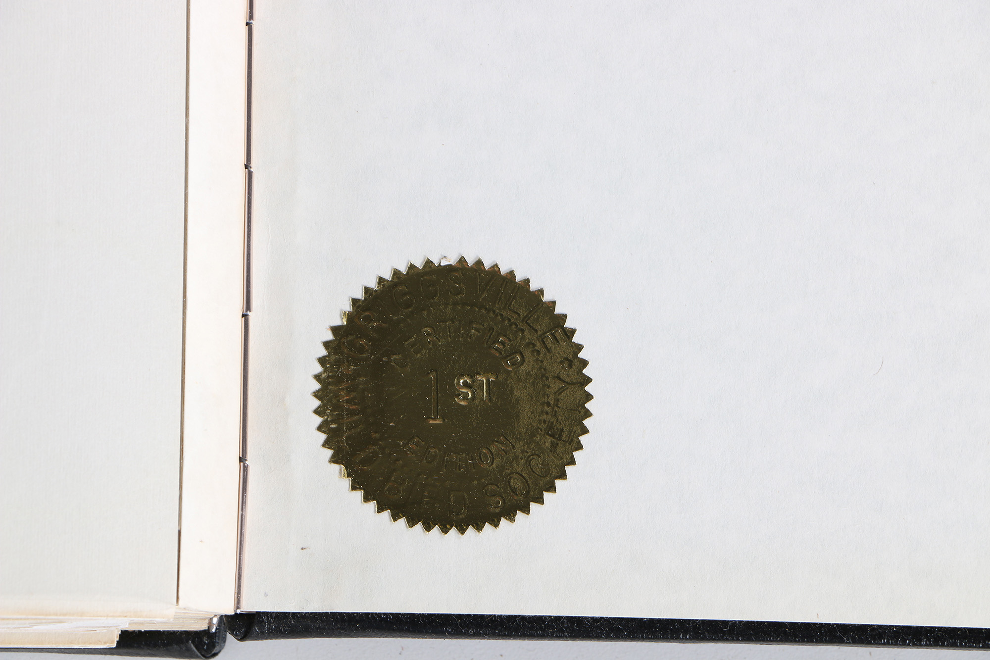 Richard Timm Offset Lithographs "Mammals of North America" Portfolio