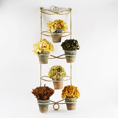 G. Wolff & Co. Dried Floral and Pottery Wall Decor