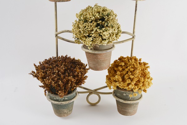 G. Wolff & Co. Dried Floral and Pottery Wall Decor