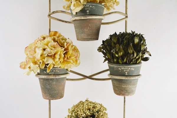 G. Wolff & Co. Dried Floral and Pottery Wall Decor