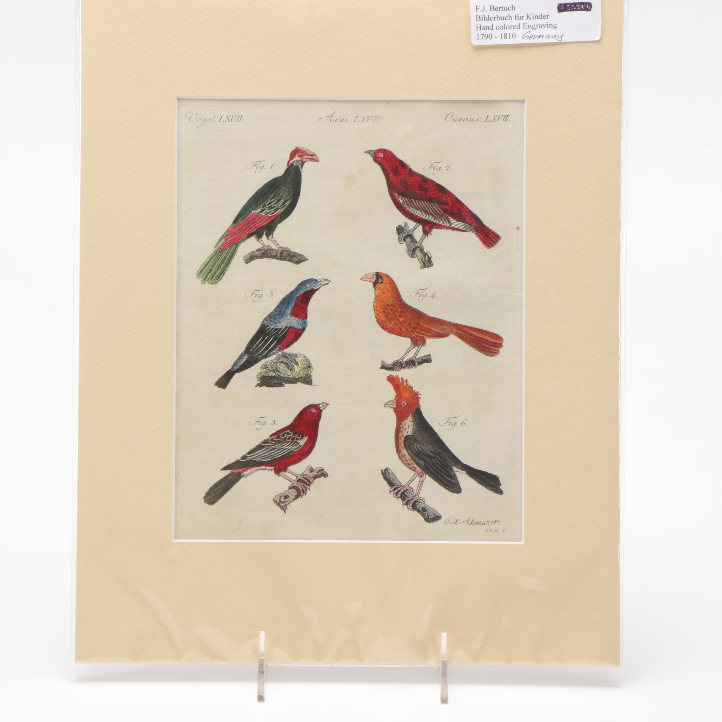 Hand-Colored Engraving After J.X. Schmuzer From "Bilderbuch für Kinder"