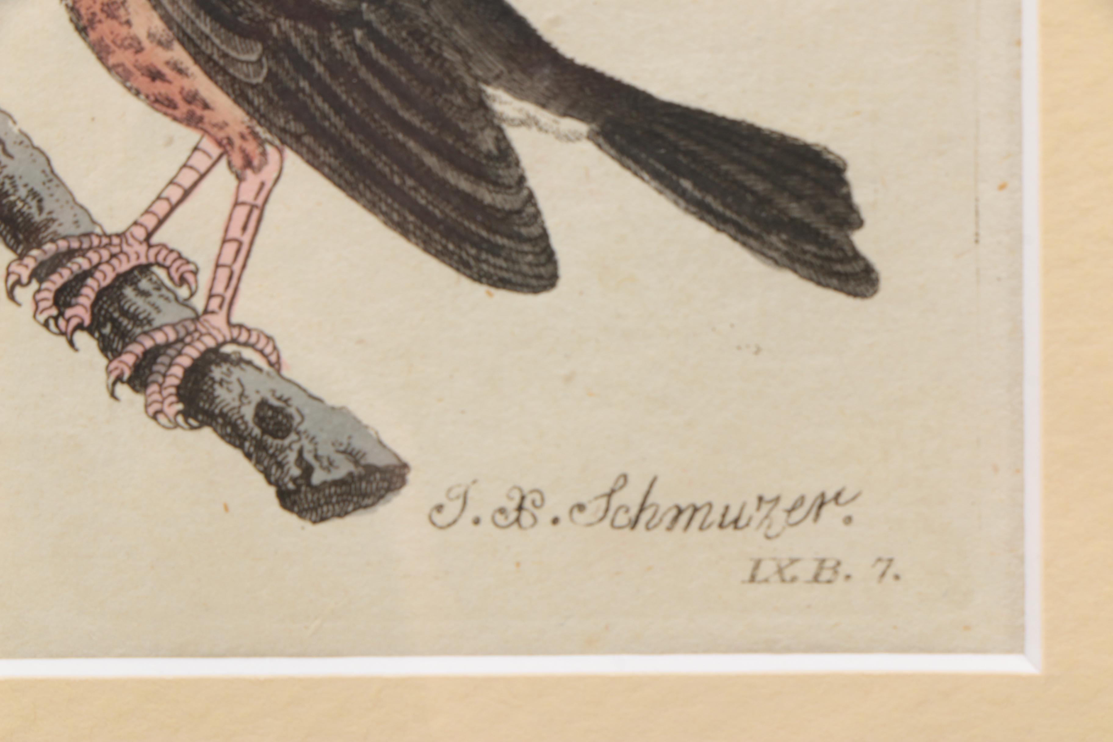 Hand-Colored Engraving After J.X. Schmuzer From "Bilderbuch für Kinder"
