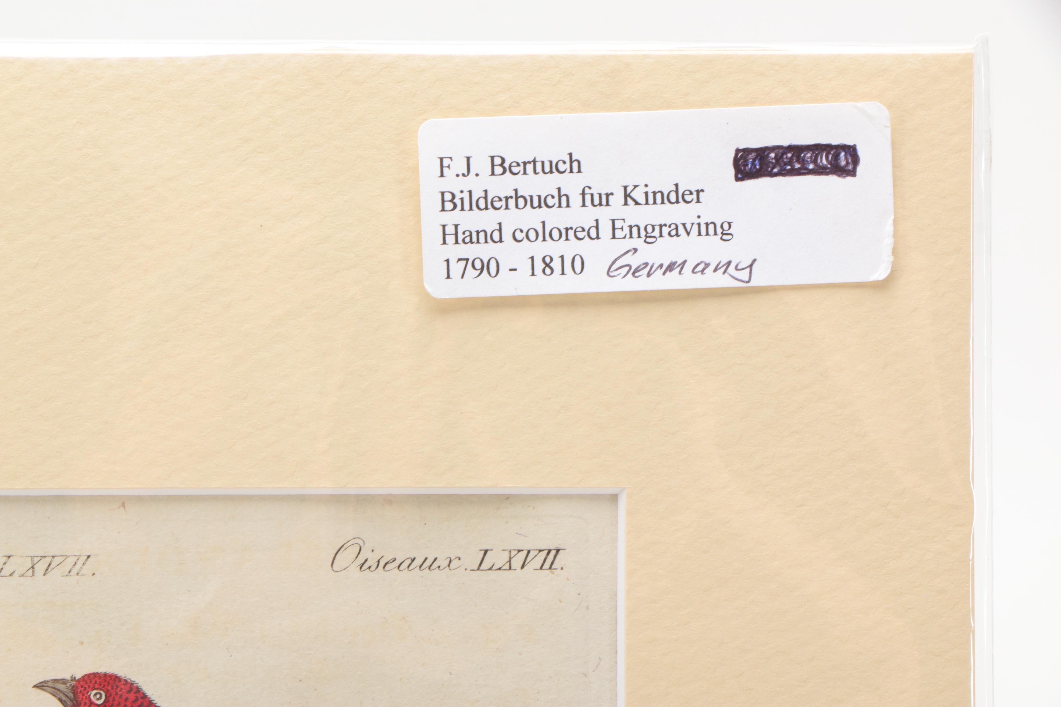 Hand-Colored Engraving After J.X. Schmuzer From "Bilderbuch für Kinder"