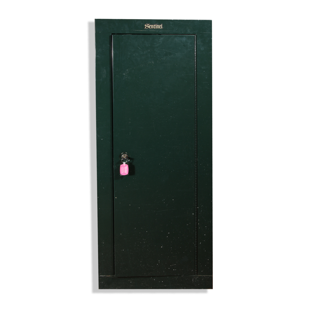 Gun Safe Cabinet by Sentinel