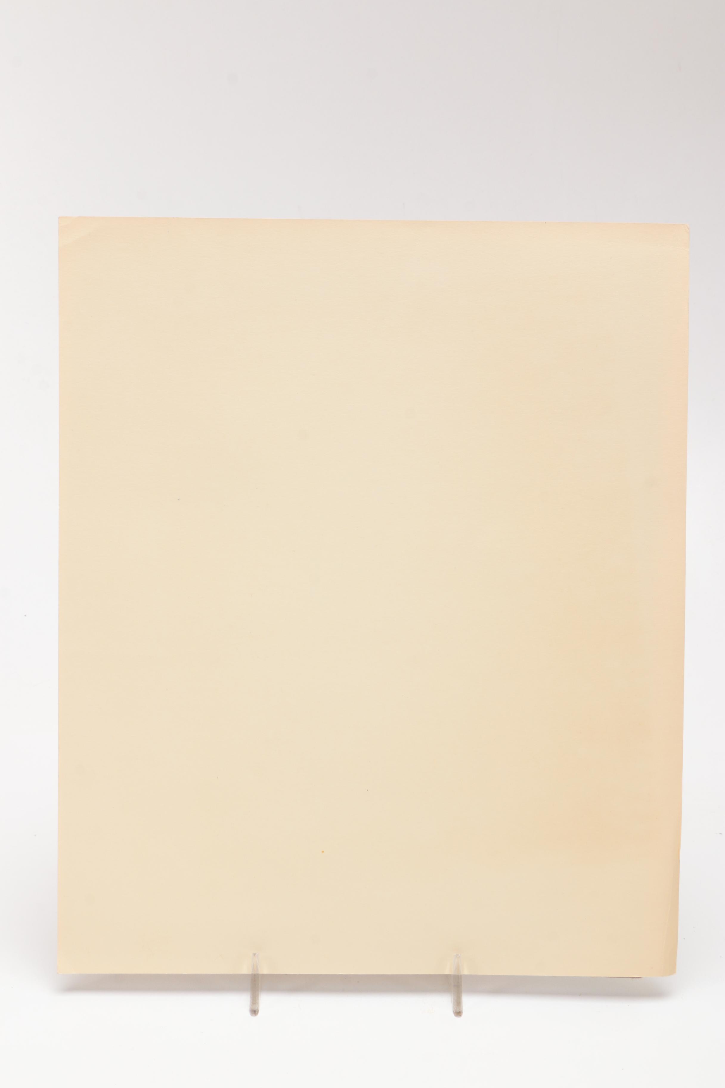 Lithograph Prints After Drawings By Honore Daumier "A Respected Citizen" and "Plead Not Guilty"