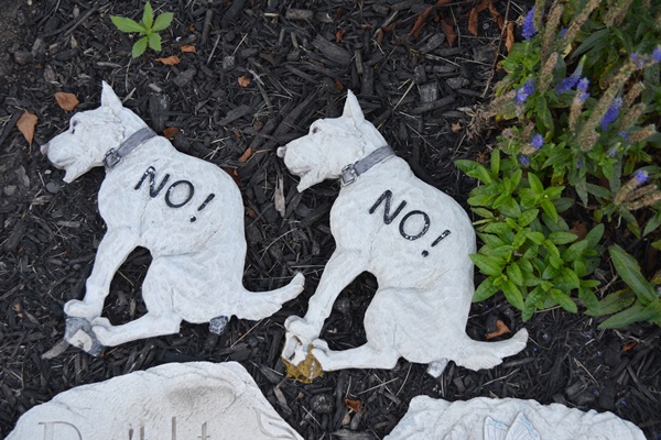 Dog and Other Yard Ornaments