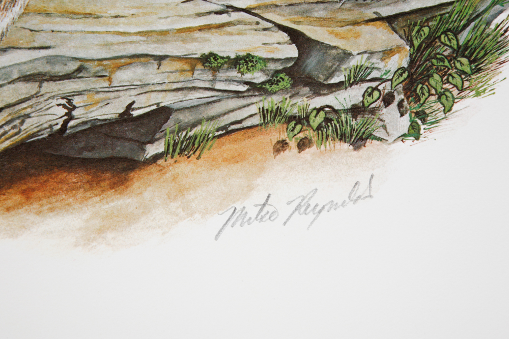 Mike Reynolds Offset Lithographs "Kentucky Wildcat"