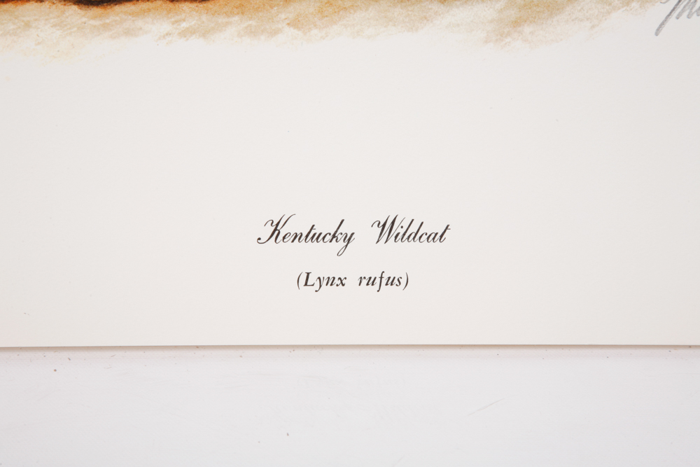 Mike Reynolds Offset Lithographs "Kentucky Wildcat"