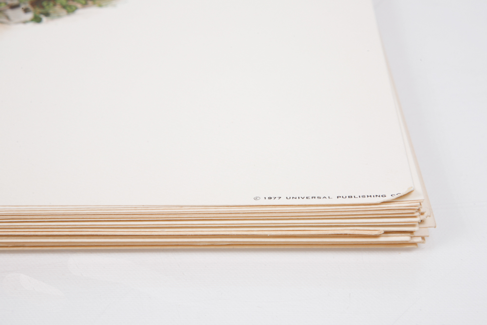 Mike Reynolds Offset Lithographs "Kentucky Wildcat"