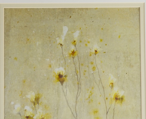 Peter Kuttner "First Light I" Botanical Offset Lithograph