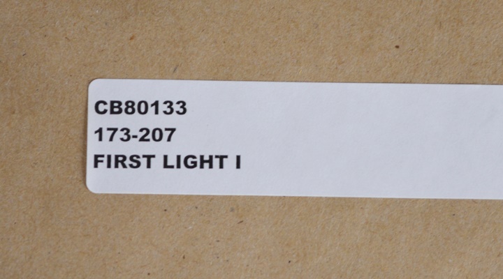 Peter Kuttner "First Light I" Botanical Offset Lithograph