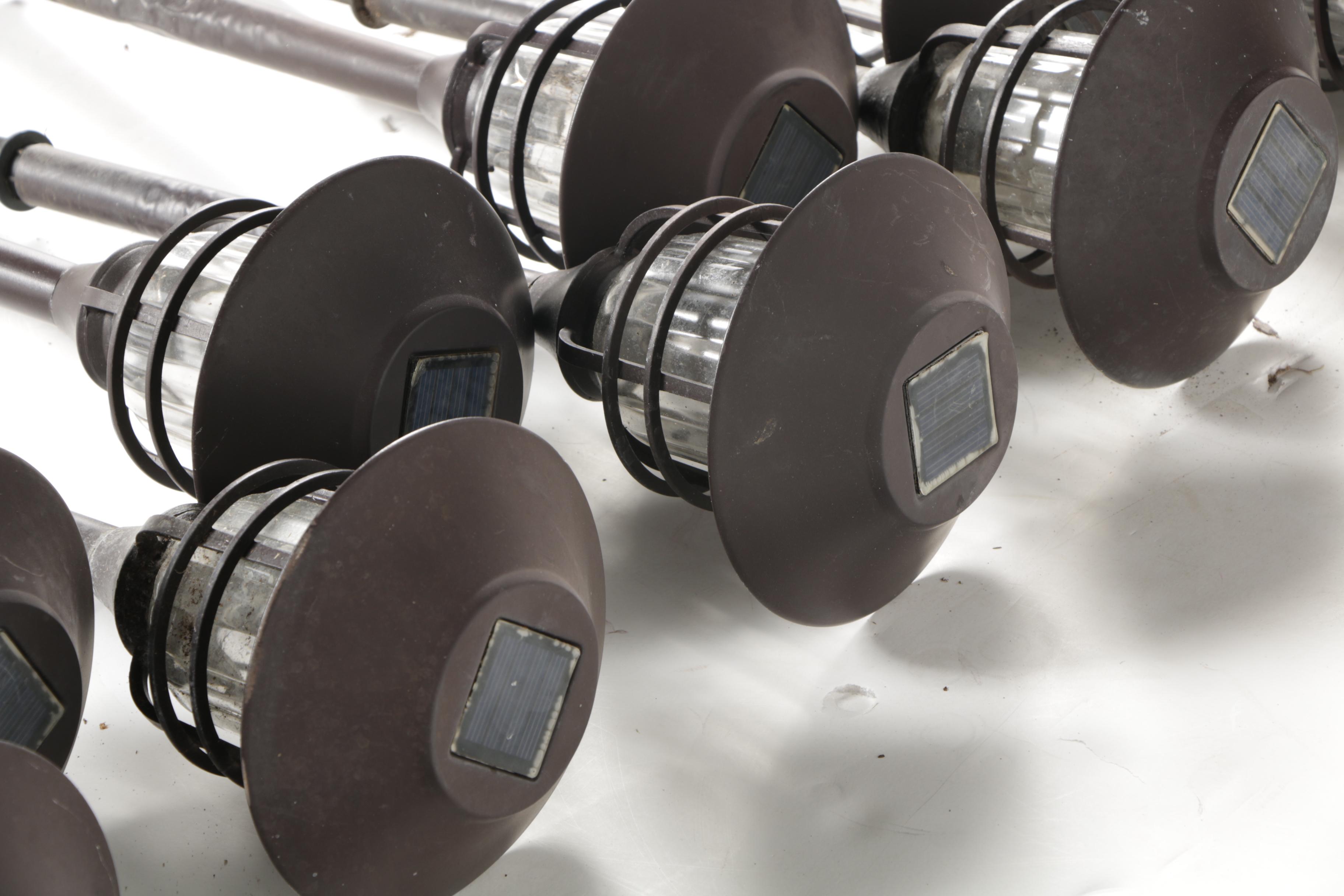 Solar Garden Accent Lights