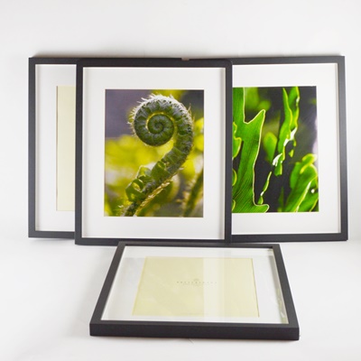 Pottery Barn Black Wood Wall Frames