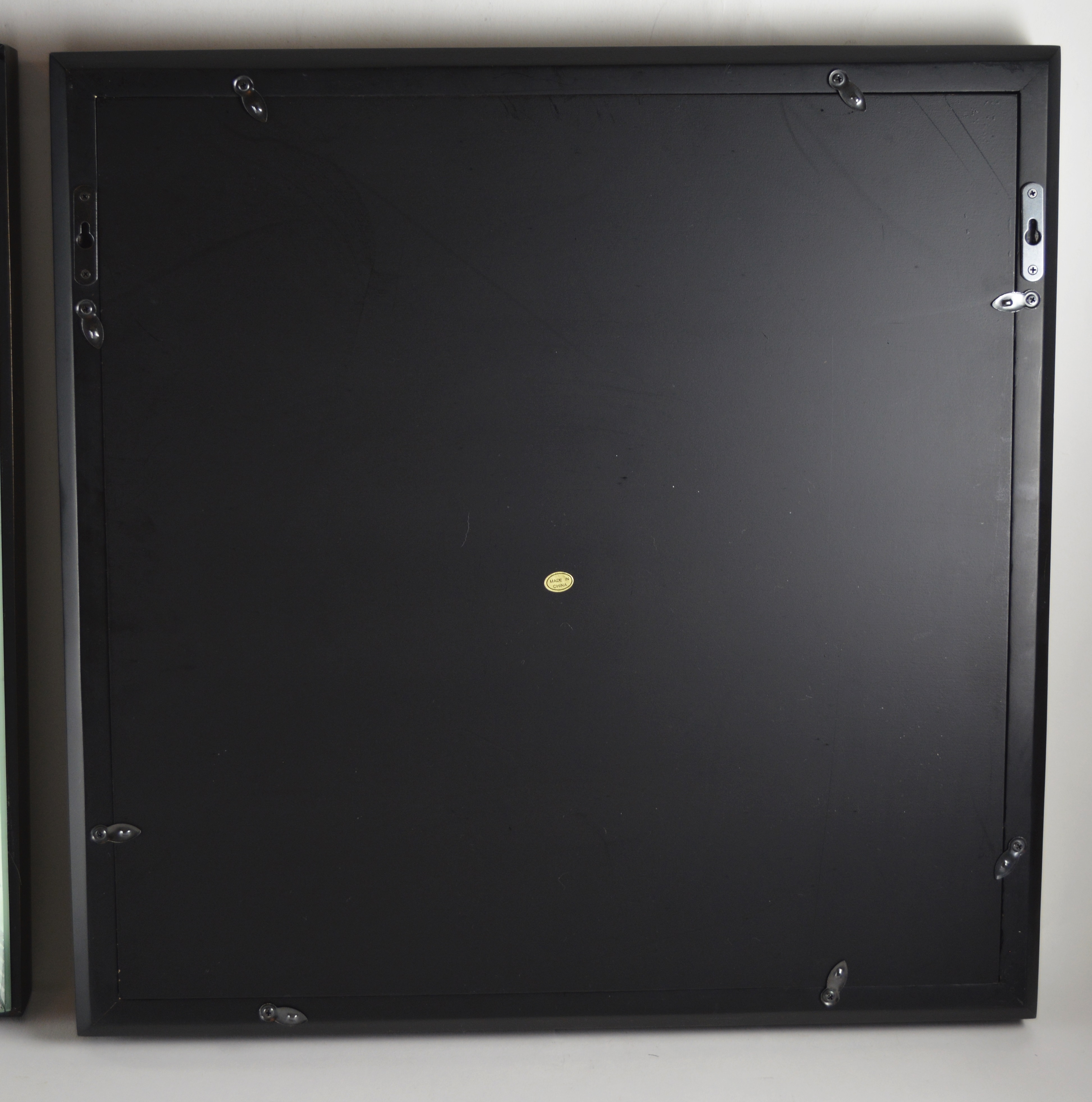 Wisteria Framed Botanical Drawings After Karl Blossfeldt