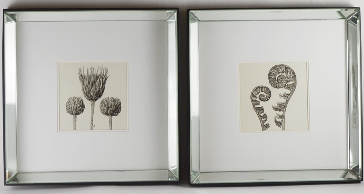 Wisteria Framed Botanical Drawings After Karl Blossfeldt