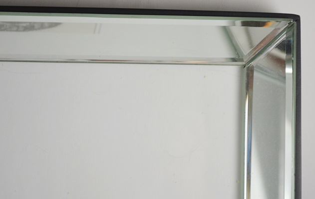 Wisteria Framed Botanical Drawings After Karl Blossfeldt