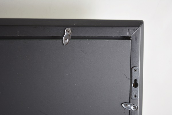 Wisteria Framed Botanical Drawings After Karl Blossfeldt