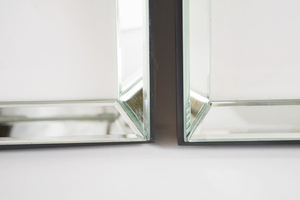Wisteria Framed Botanical Drawings After Karl Blossfeldt