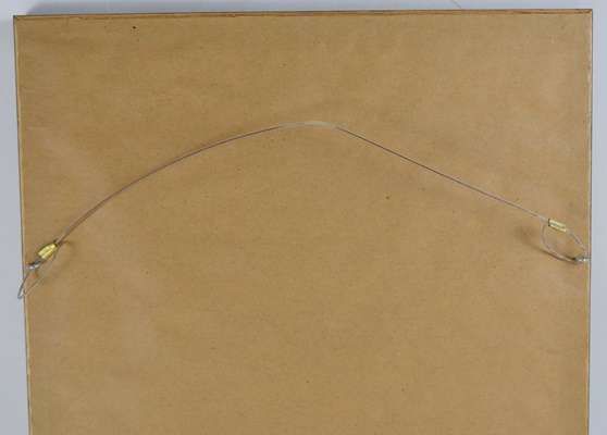 Framed Needlepoint of Tropical Birds