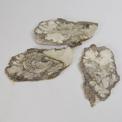 Hank Mitt Signed Carved Wall Art