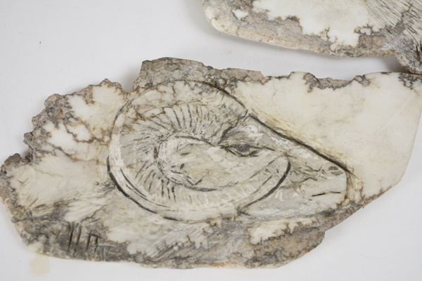 Hank Mitt Signed Carved Wall Art