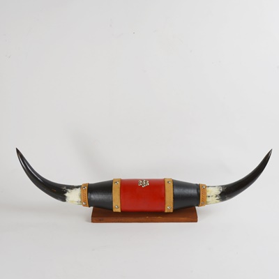 Steer Horn Wall Decor