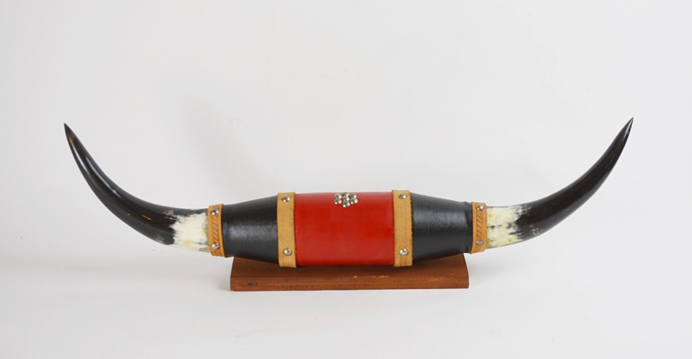 Steer Horn Wall Decor