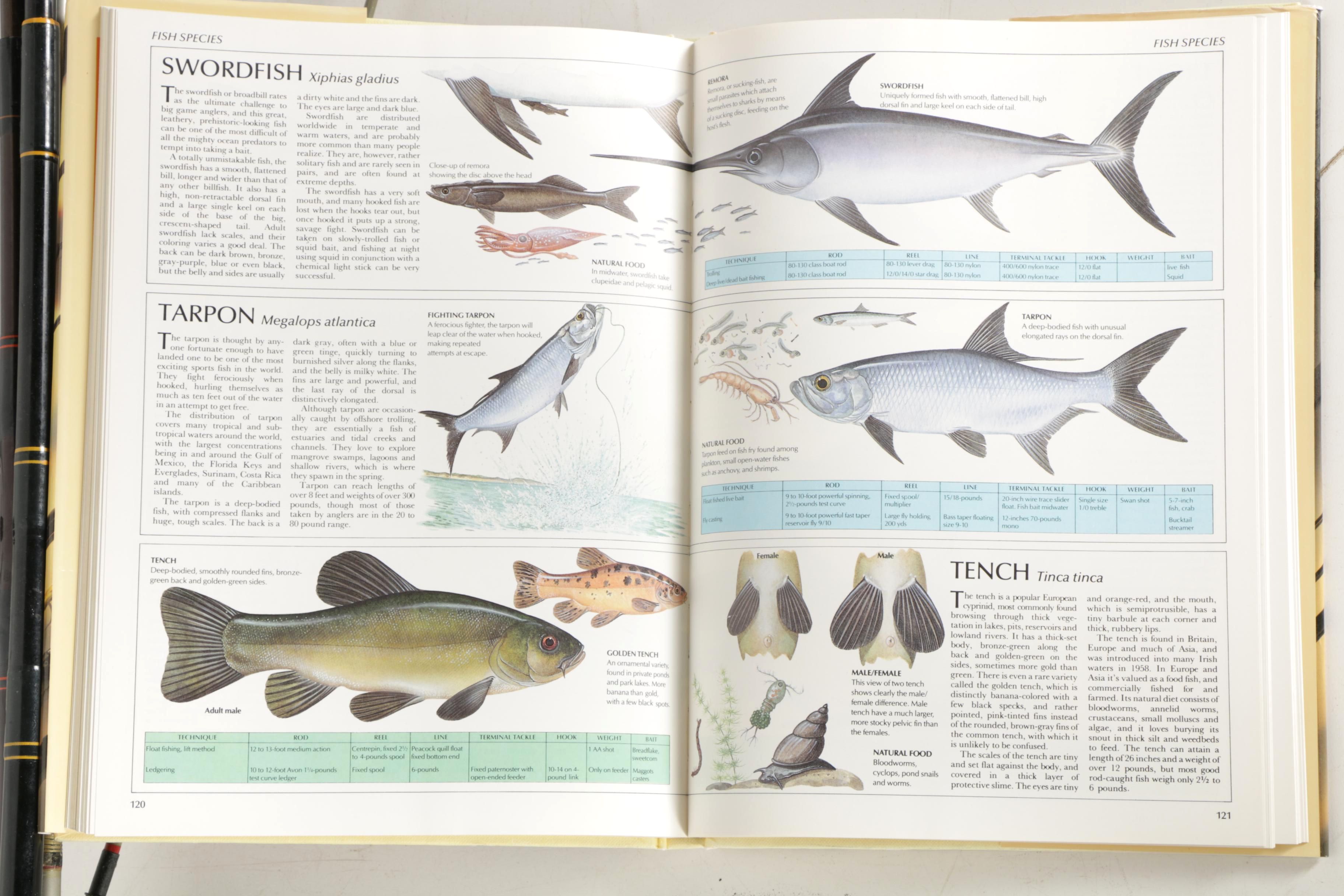 Fishing Rods and "The Complete Book of Fishing"