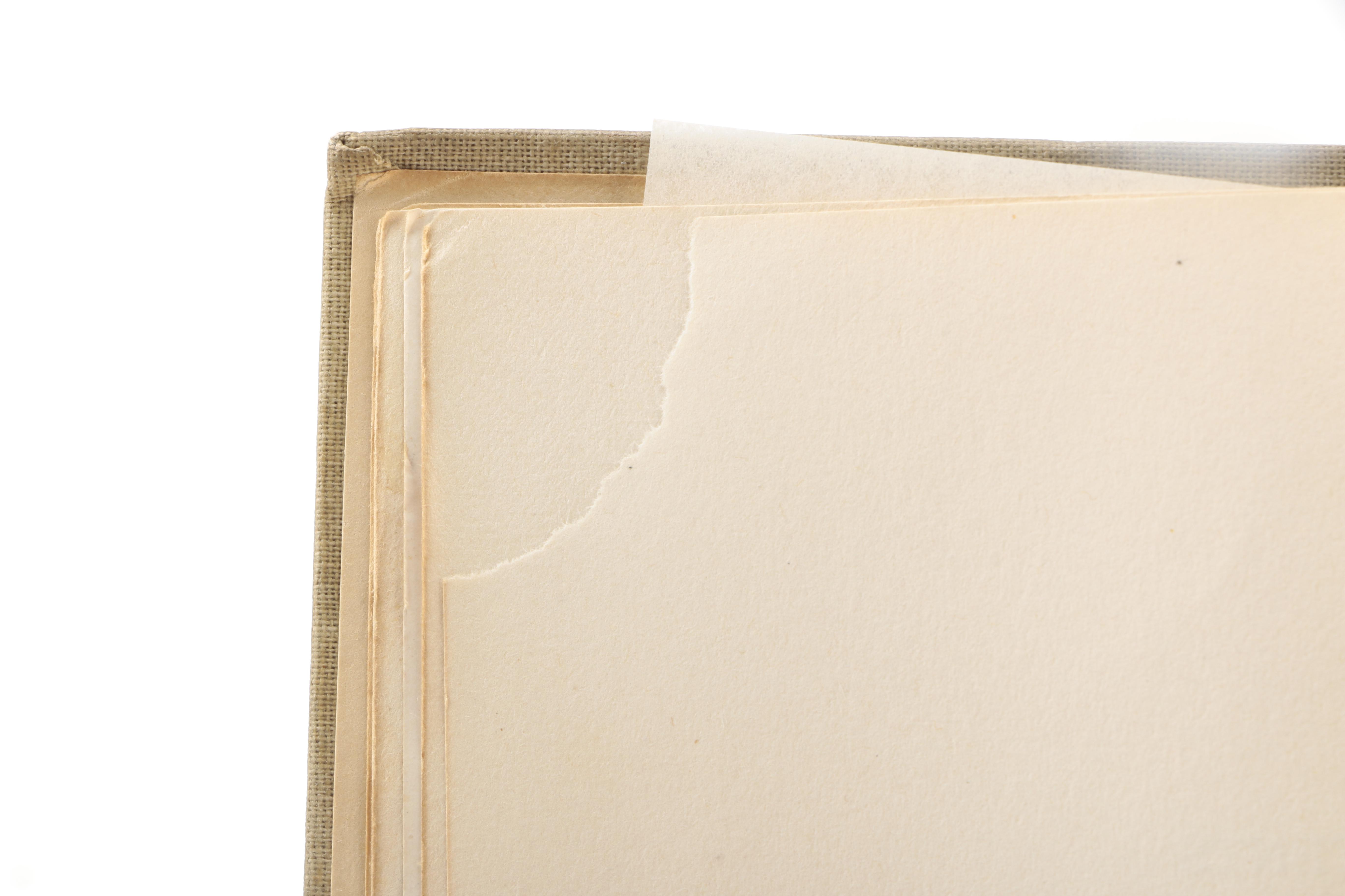 1924 "The Happy Prince and Other Fairy Tales" by Oscar Wilde