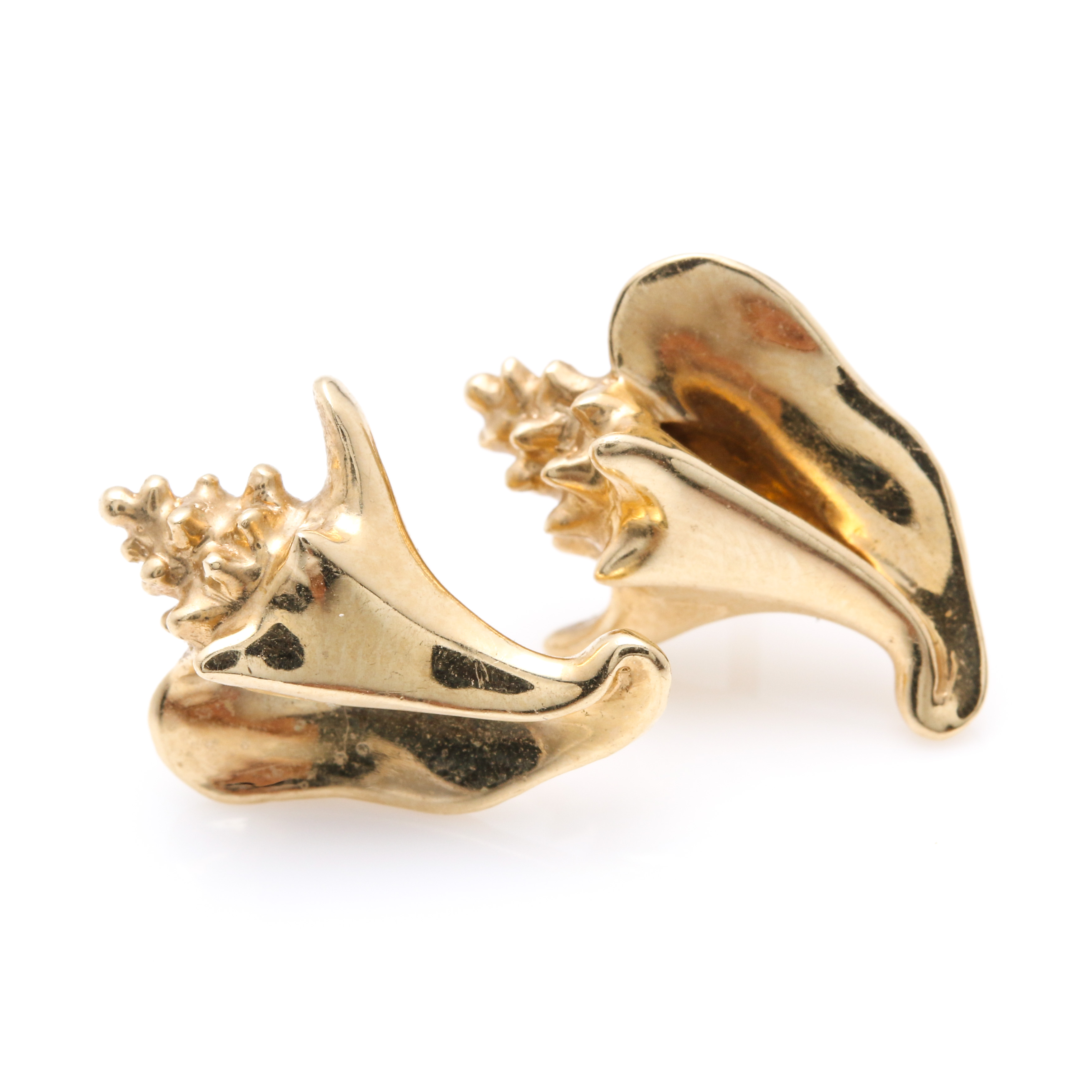 14K Yellow Gold Conch Shell Earrings