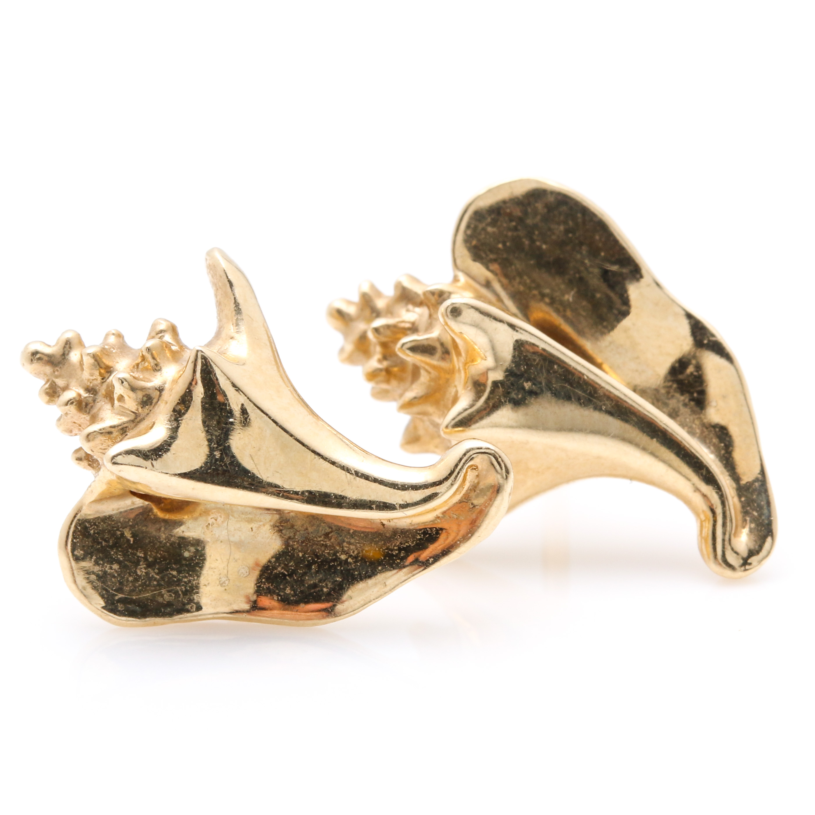 14K Yellow Gold Conch Shell Earrings