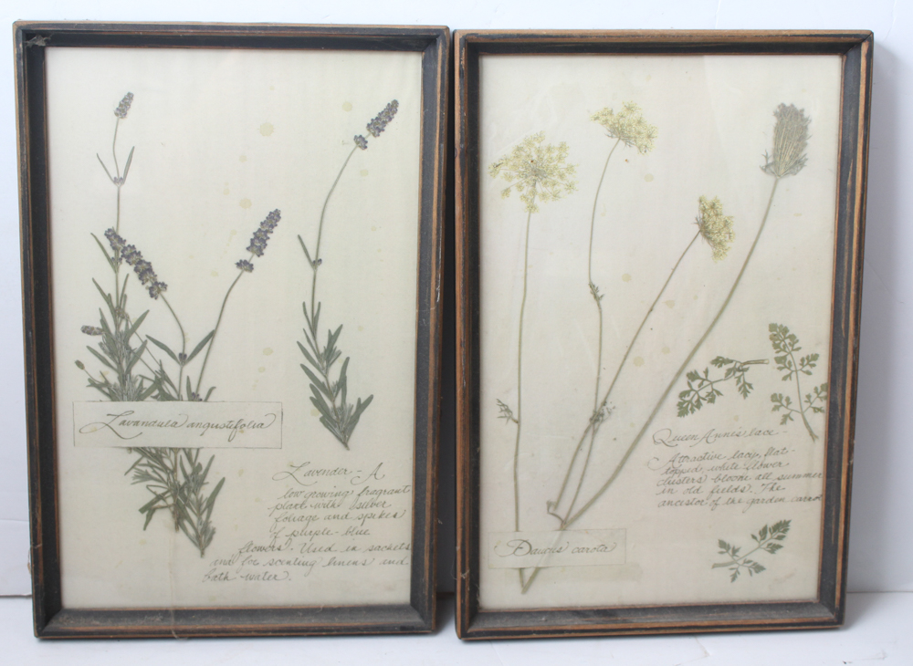 Vintage and Antique School Supplies