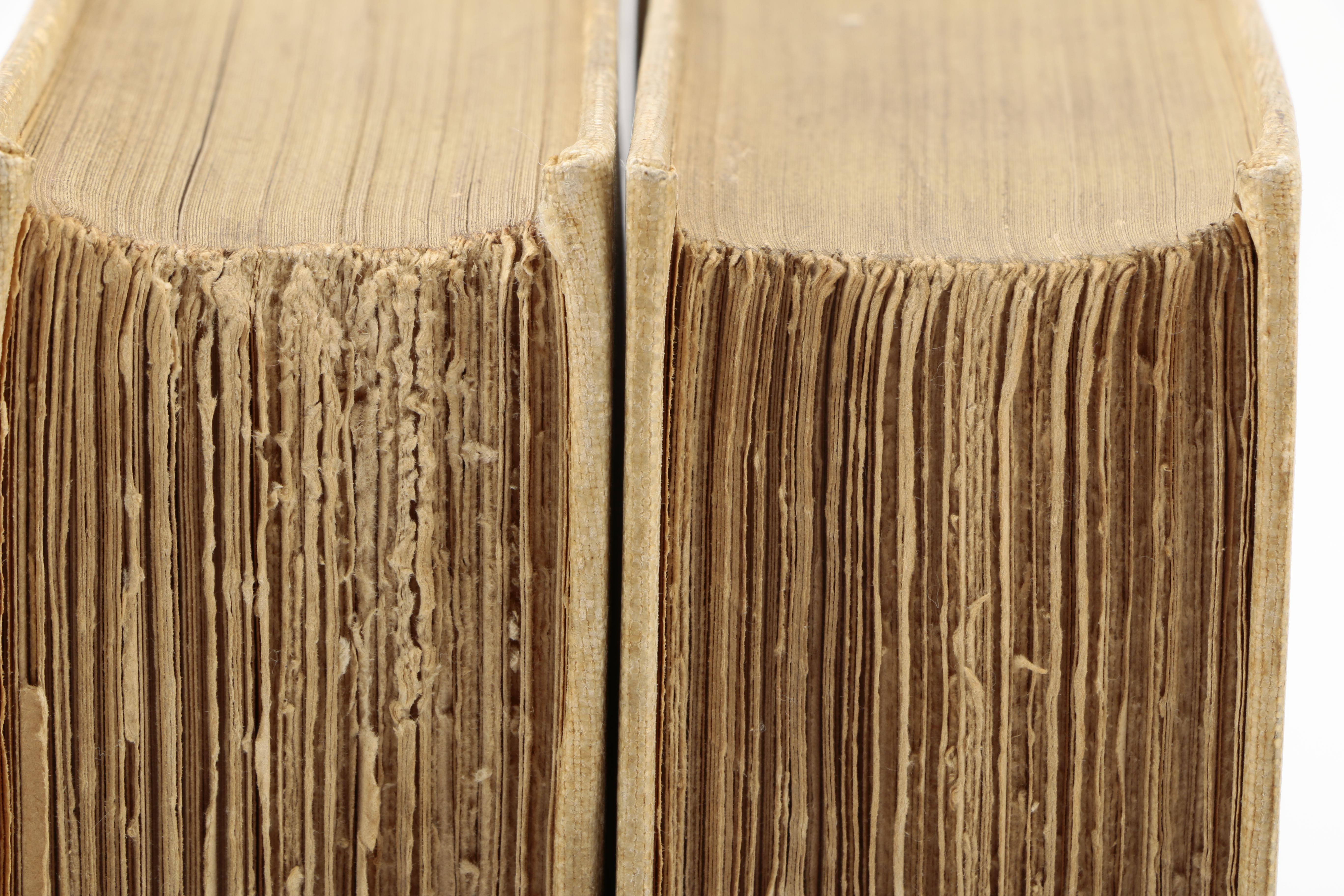 1921 Limited Edition Two Volumes "The Decameron of Giovanni Boccaccio" by J. M. Rigg