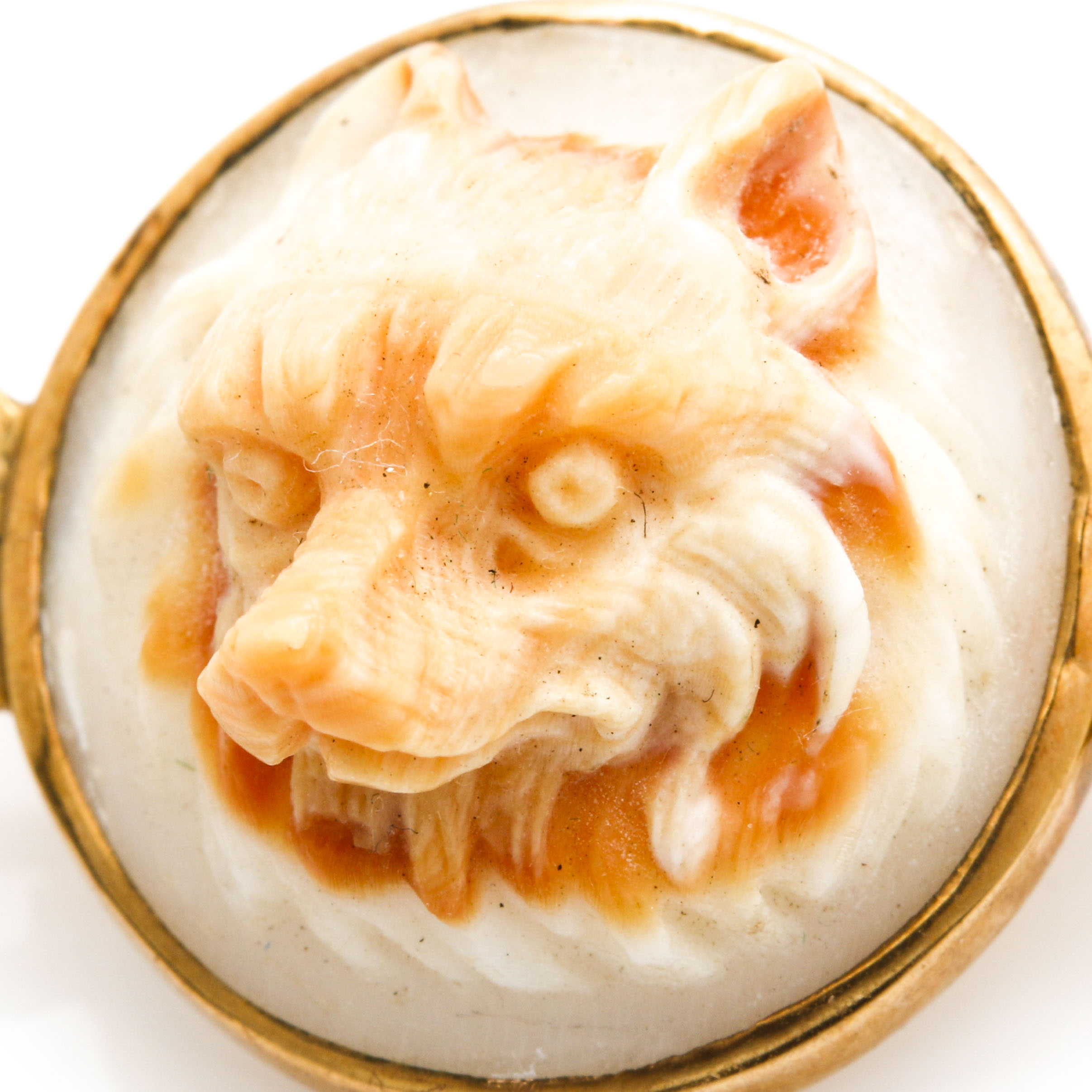 9K Yellow Gold Carved Shell Wolf Cameo Bar Pin