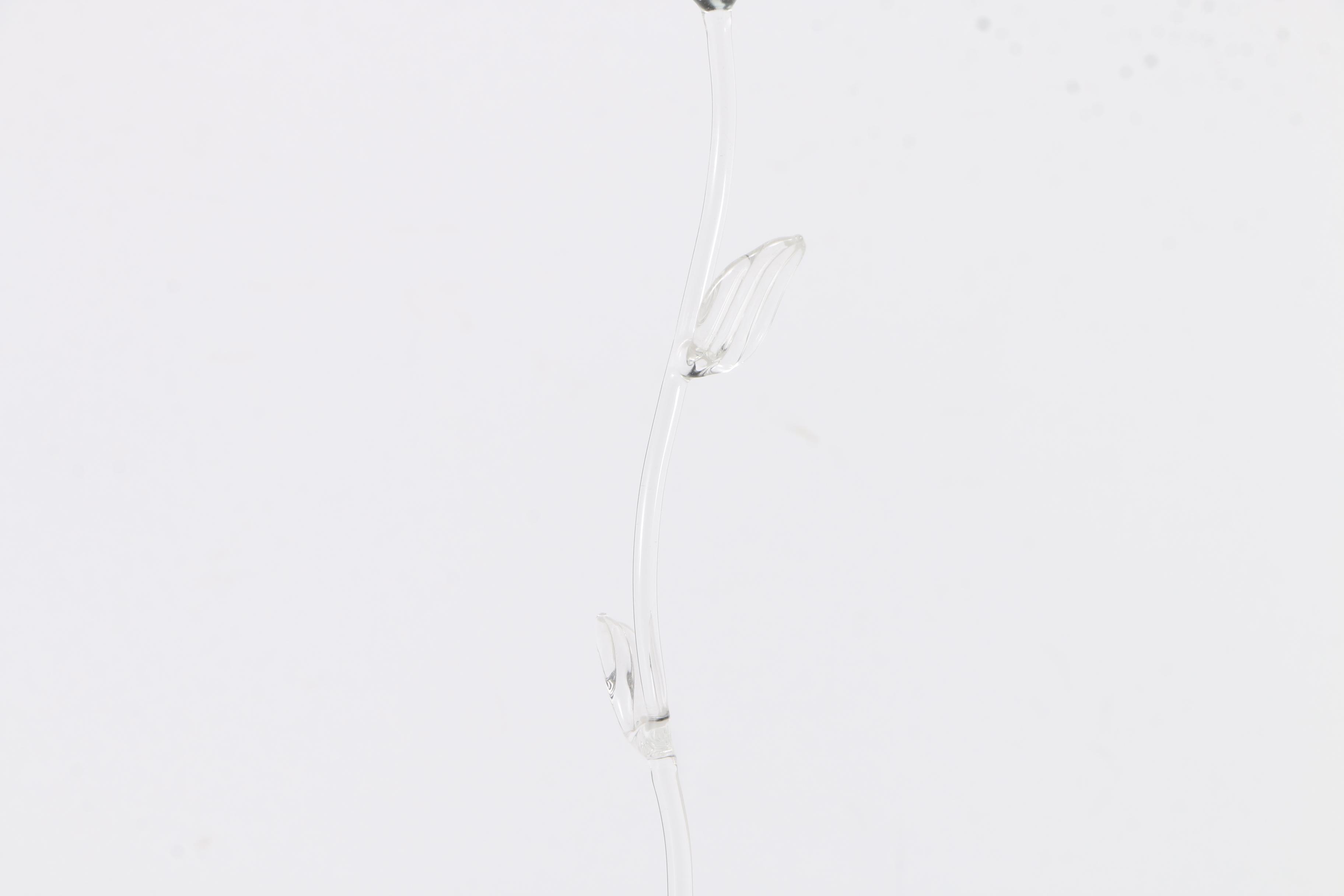 Frabel Studios Floral Glass Sculptures