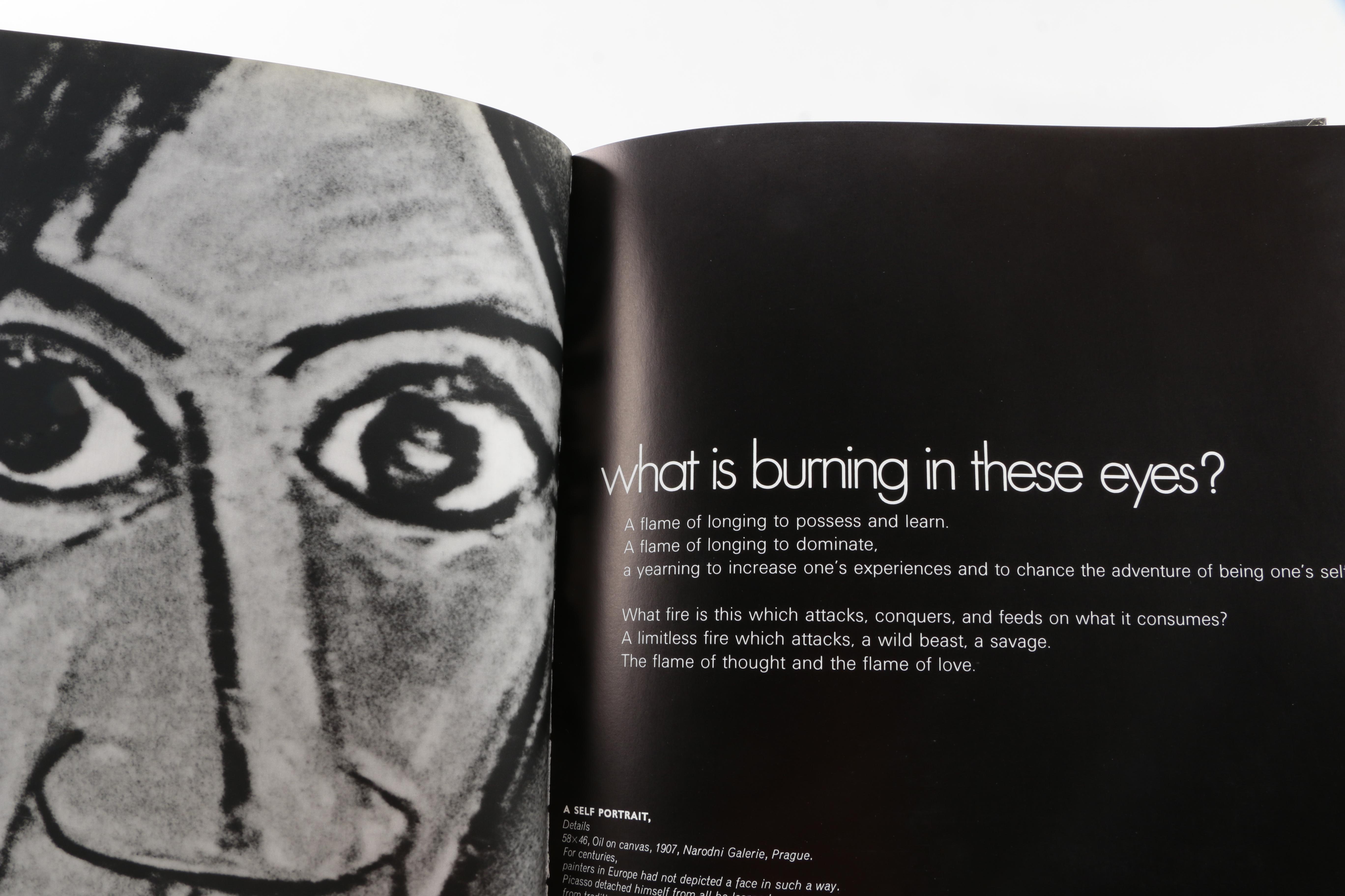 1974 Edition of "Picasso" by Pierre Descargues