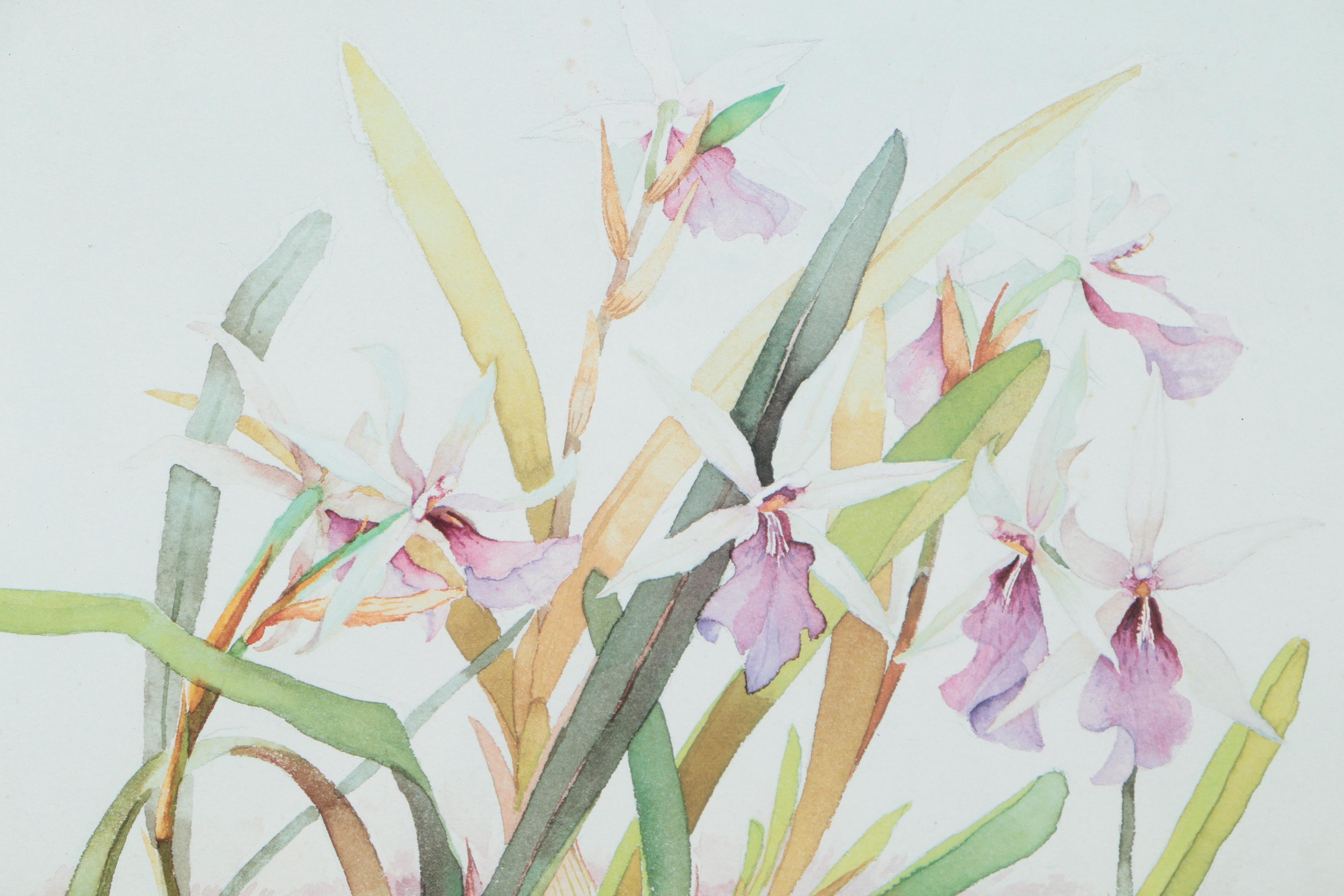 John Thomas Offset Lithograph of Flowers