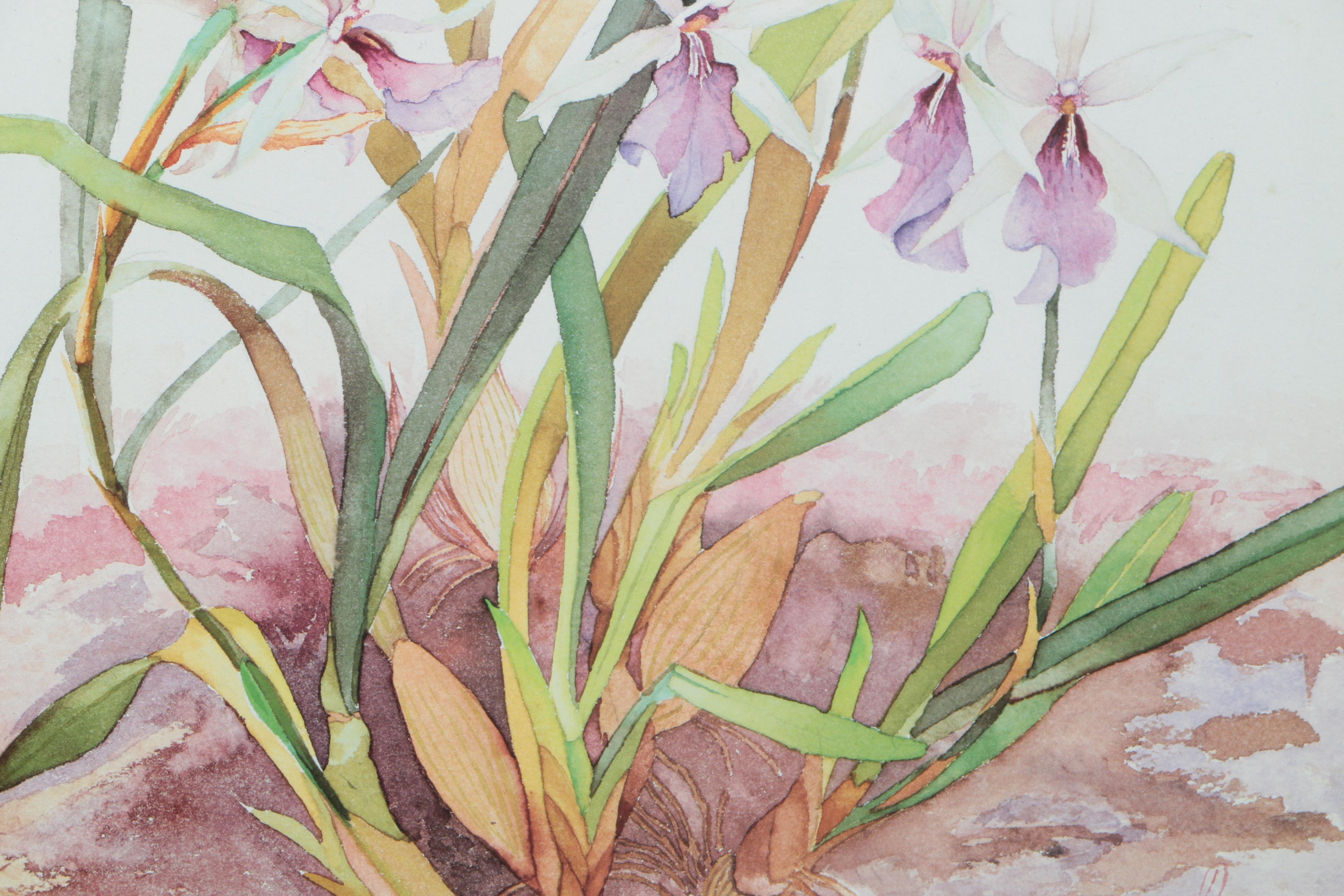 John Thomas Offset Lithograph of Flowers