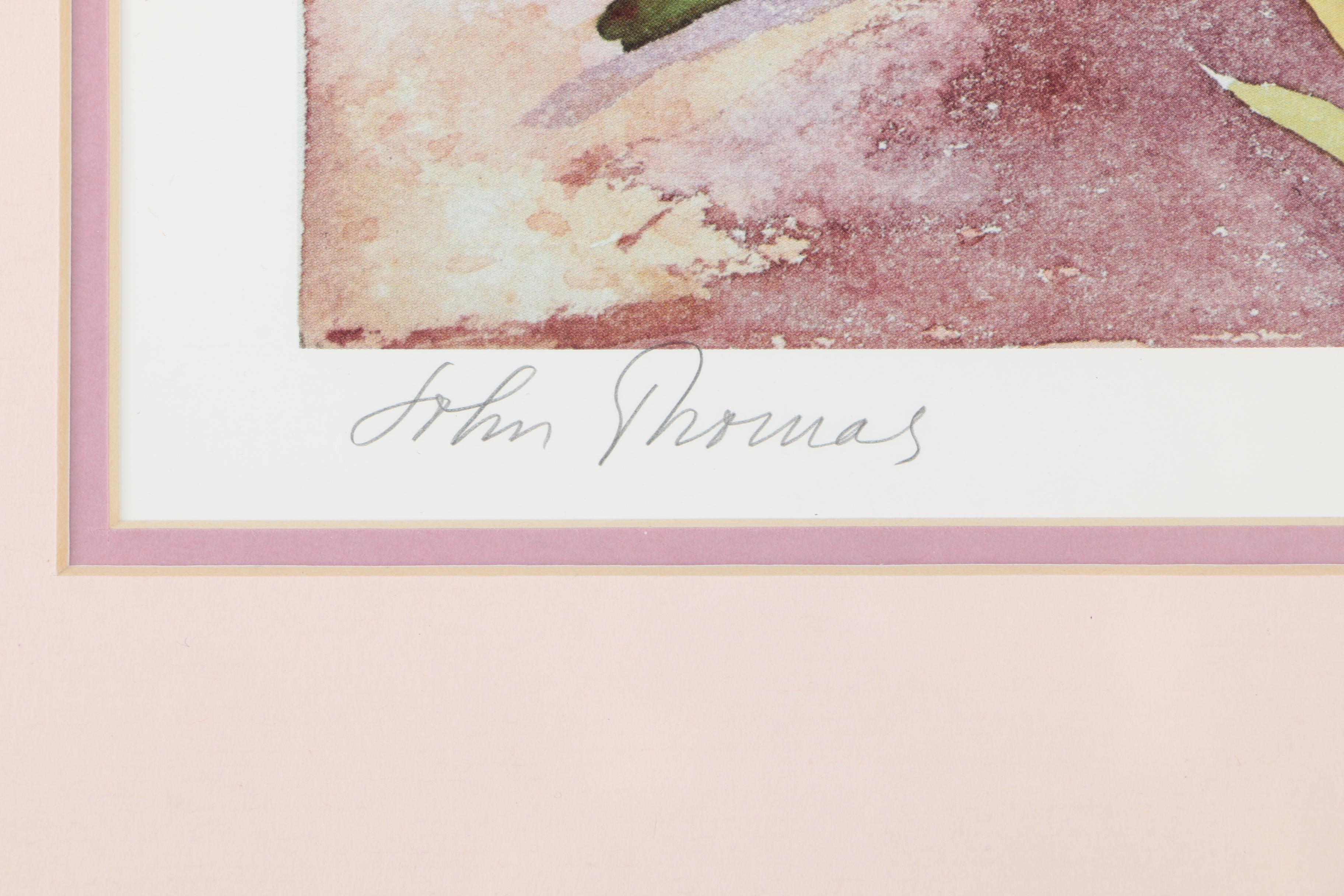 John Thomas Offset Lithograph of Flowers