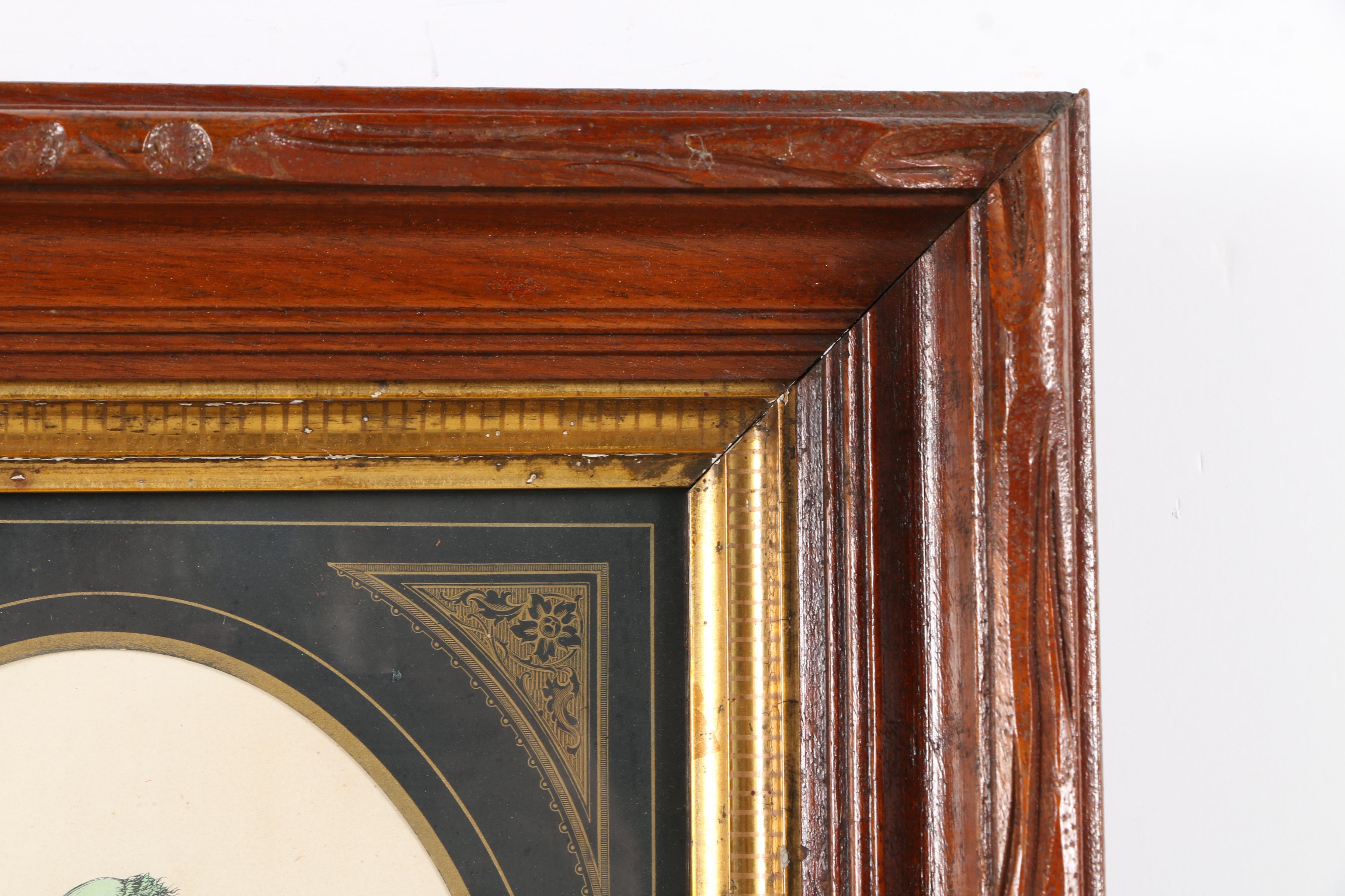 Hand Colored Prints of Animal Caricatures After J.J. Grandville