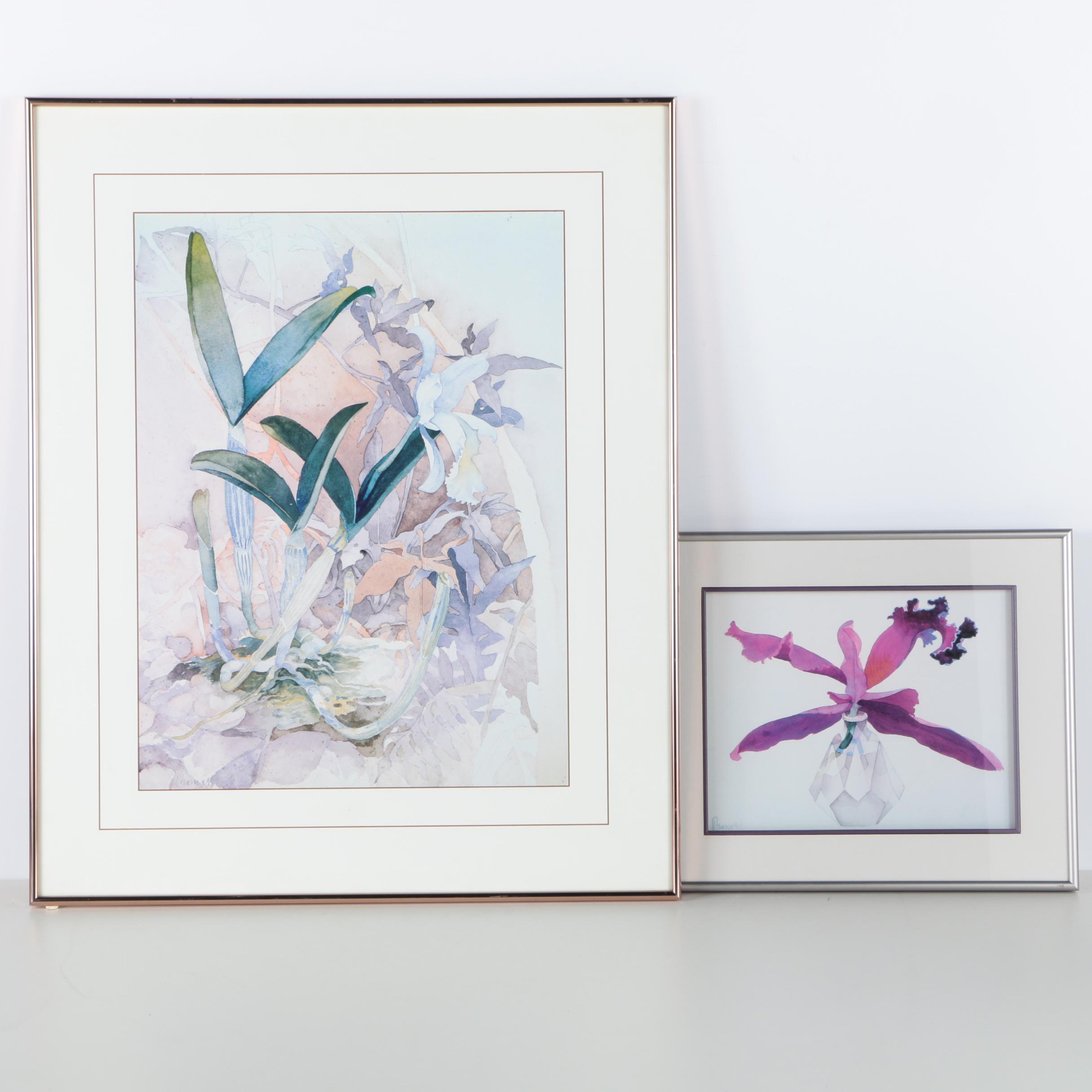 John Thomas Offset Lithographs on Paper of Flowers