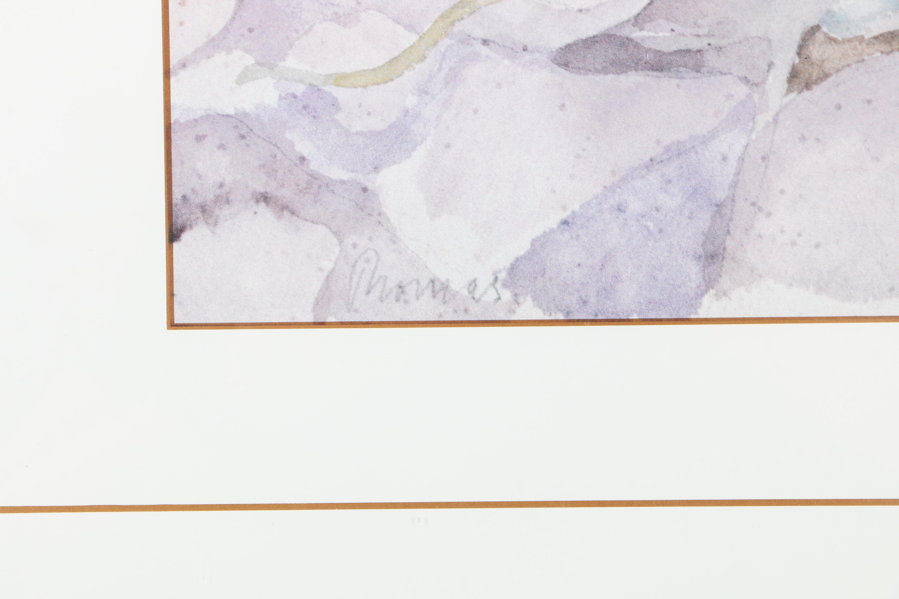 John Thomas Offset Lithographs on Paper of Flowers